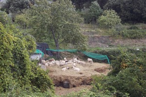 Xtrallusion offers characteristic Bed and Breakfast, B&B, Guest House, Hotel, Albergo and Country Lodge accommodation in Italy. Plus independent self-guided Walking, Adventure, Activity, Skiing and Paragliding Holiday itineraries on the Italian Rivieras, in the Italian Lakes, in the Italian Alps and in some of the most beautiful corners of Italy.